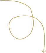 Strelica